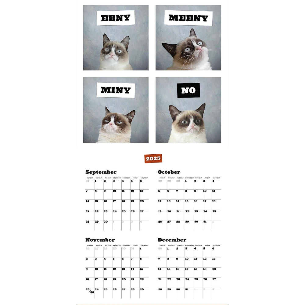 Grumpy Cat 2026 Wall Calendar