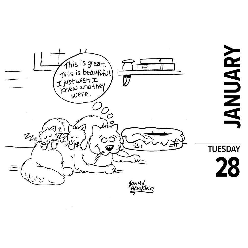 Cat Cartoon A Day By Jonny Hawkins Box 2025 Calendar