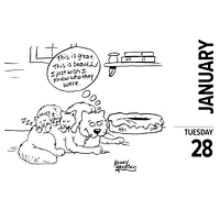 Cat Cartoon A Day By Jonny Hawkins Box 2025 Calendar