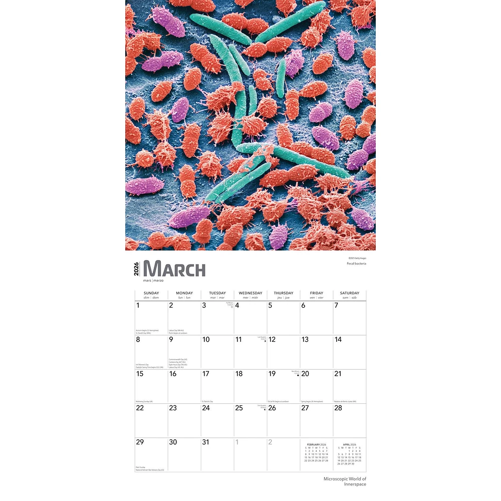 Innerspace 2026 Wall Calendar - Online Exclusive