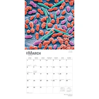 Innerspace 2026 Wall Calendar - Online Exclusive