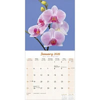 Orchids 2026 Wall Calendar