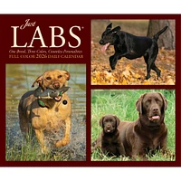 Just Labs 2026 Box Calendar - Online Exclusive