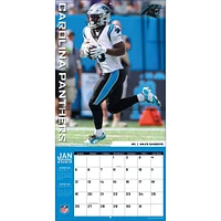 NFL Carolina Panthers Wall 2025 Calendar - Online Exclusive