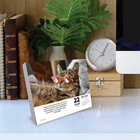 Bad Kitties 2026 Box Calendar - Online Exclusive