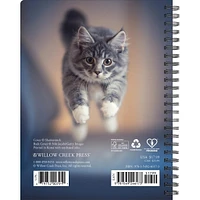 What Cats Teach Us Engagement 2025 Calendar