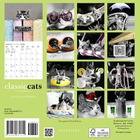 Classic Cats Mini 2025 Calendar