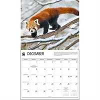 Red Pandas World Wildlife Fund Wall 2025 Calendar