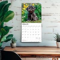 Shih Tzu 2026 Wall Calendar