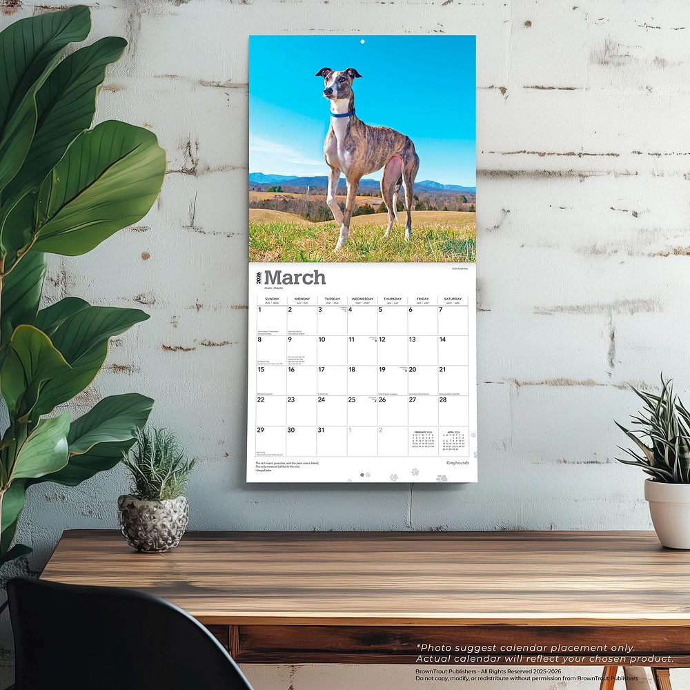 Greyhounds 2026 Wall Calendar