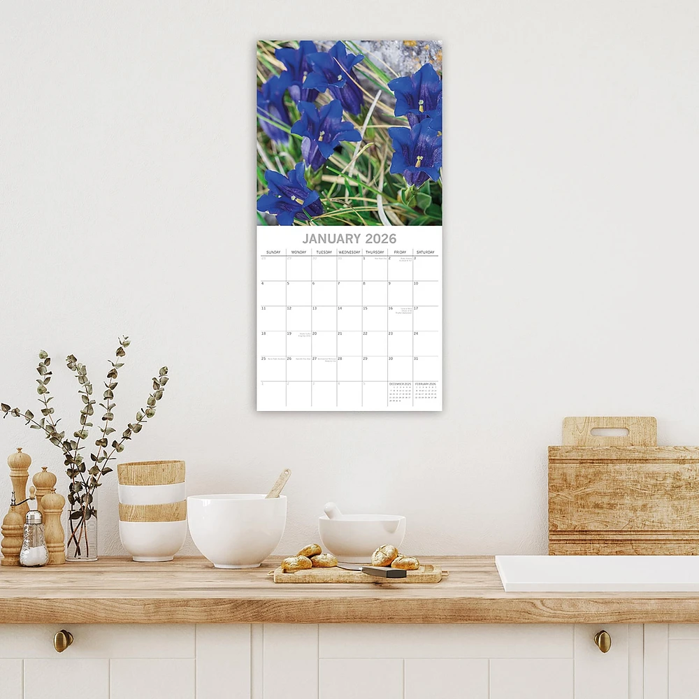 Wildflowers 2026 Wall Calendar