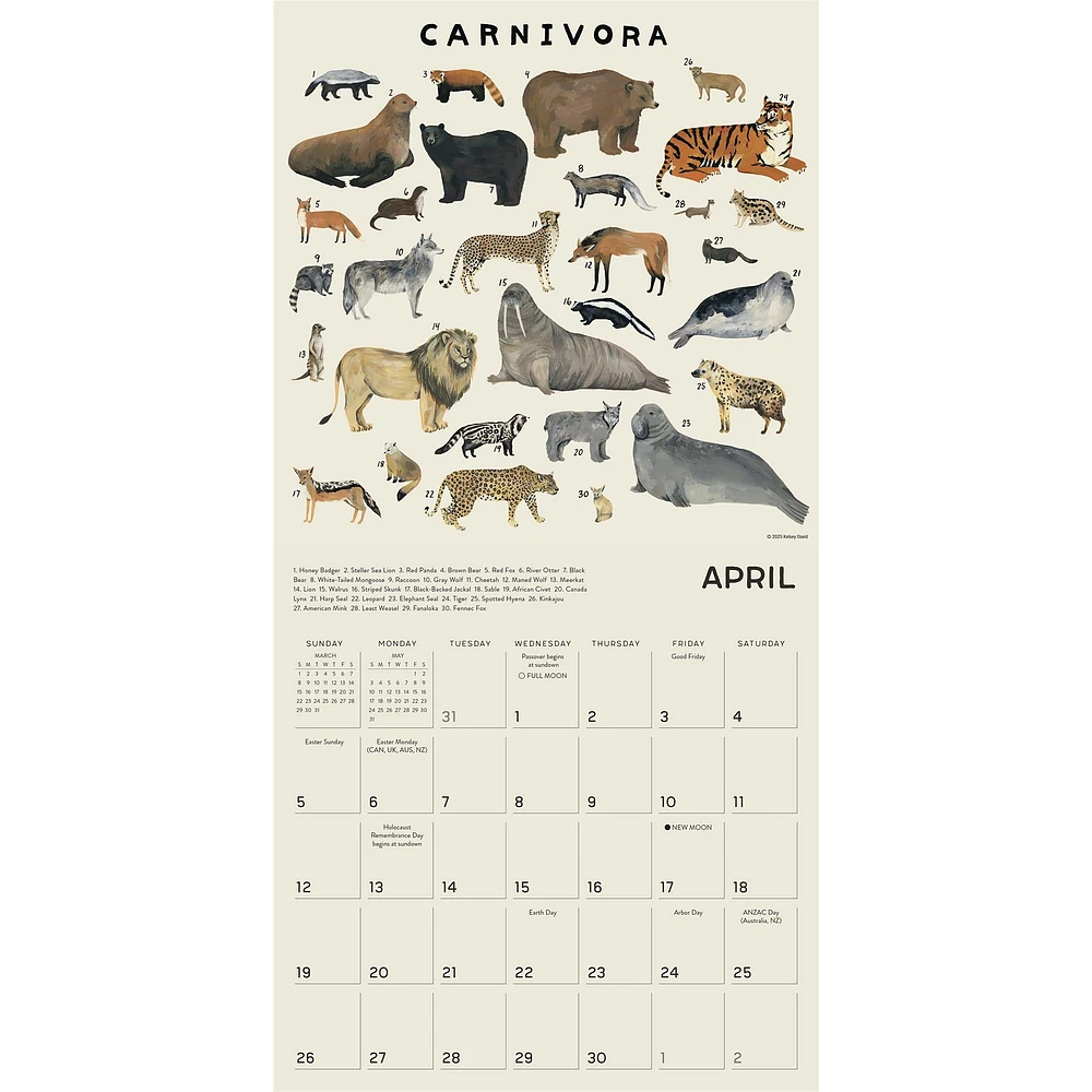Illustrated Animal Kingdom 2026 Wall Calendar - Online Exclusive