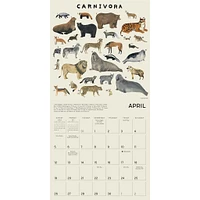 Illustrated Animal Kingdom 2026 Wall Calendar - Online Exclusive