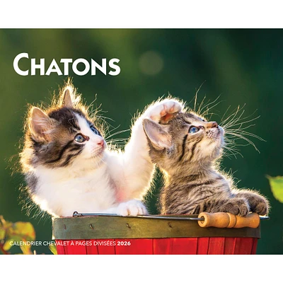 Chatons 2026 Double View Easel Calendar(French)