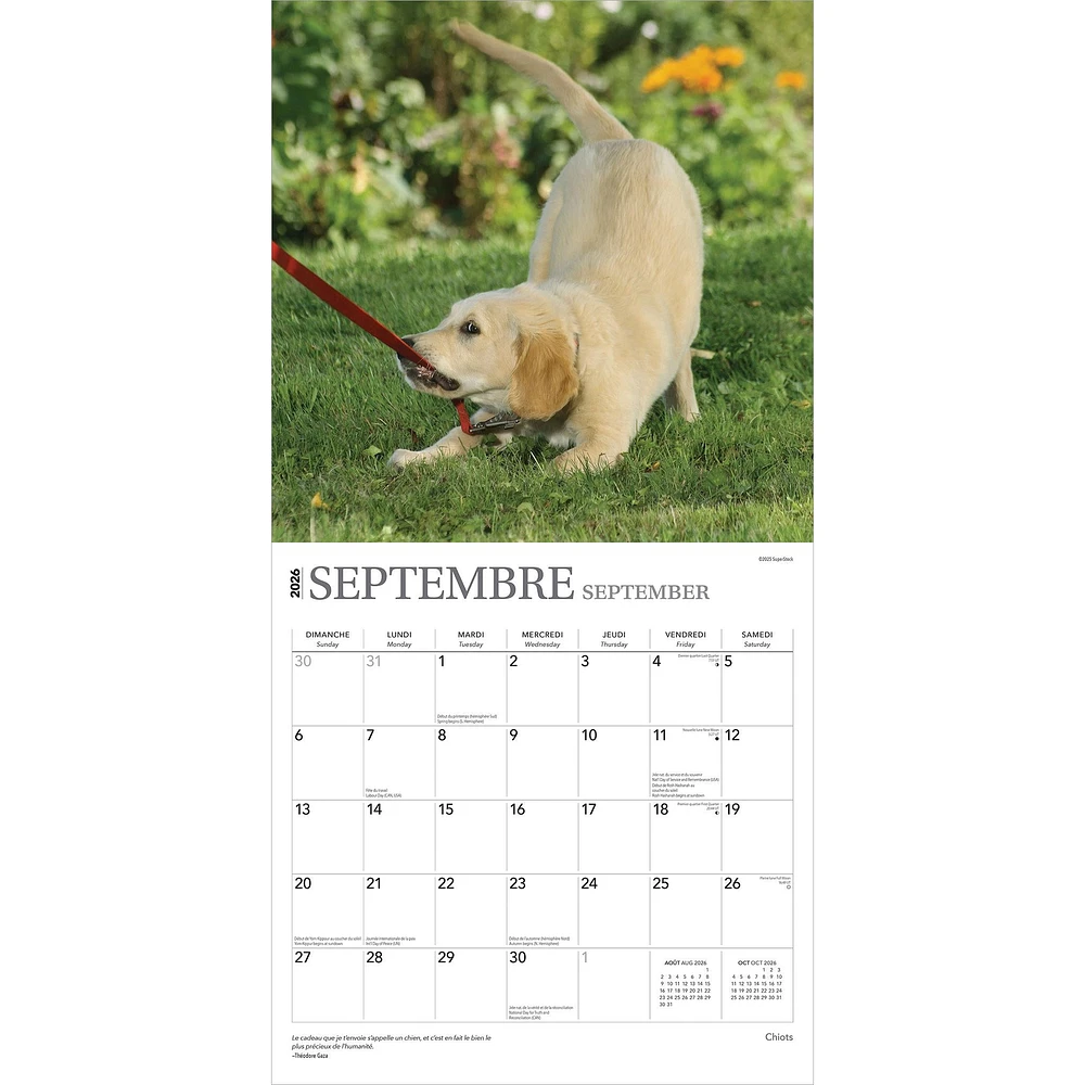 Chiots 2026 Calendrier de 12 Mois (French)