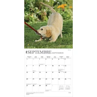 Chiots 2026 Calendrier de 12 Mois (French)