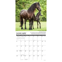 Why Horses Do That 2026 Wall Calendar