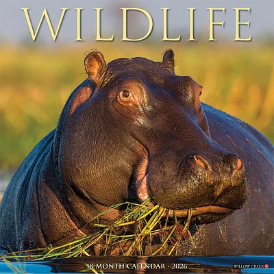 Wildlife 2026 Wall Calendar - Online Exclusive