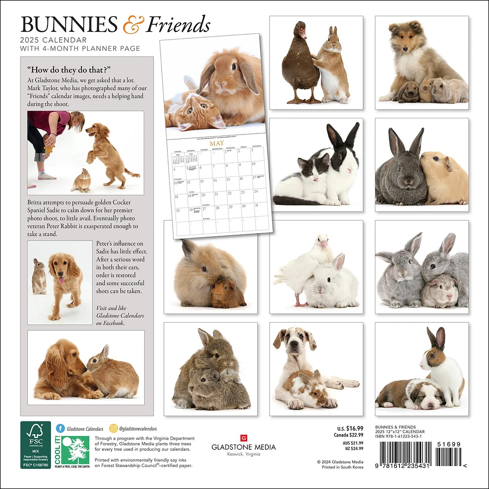 Bunnies And Friends Wall 2025 Calendar