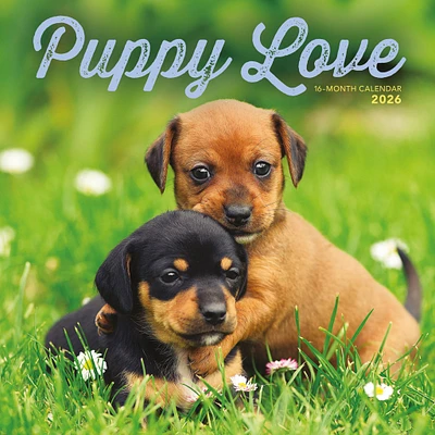 Puppy Love 2026 Wall Calendar