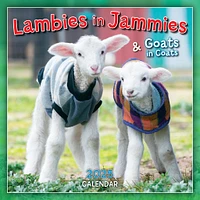 Lambies In Jammies And Goats In Coats Mini 2025 Calendar