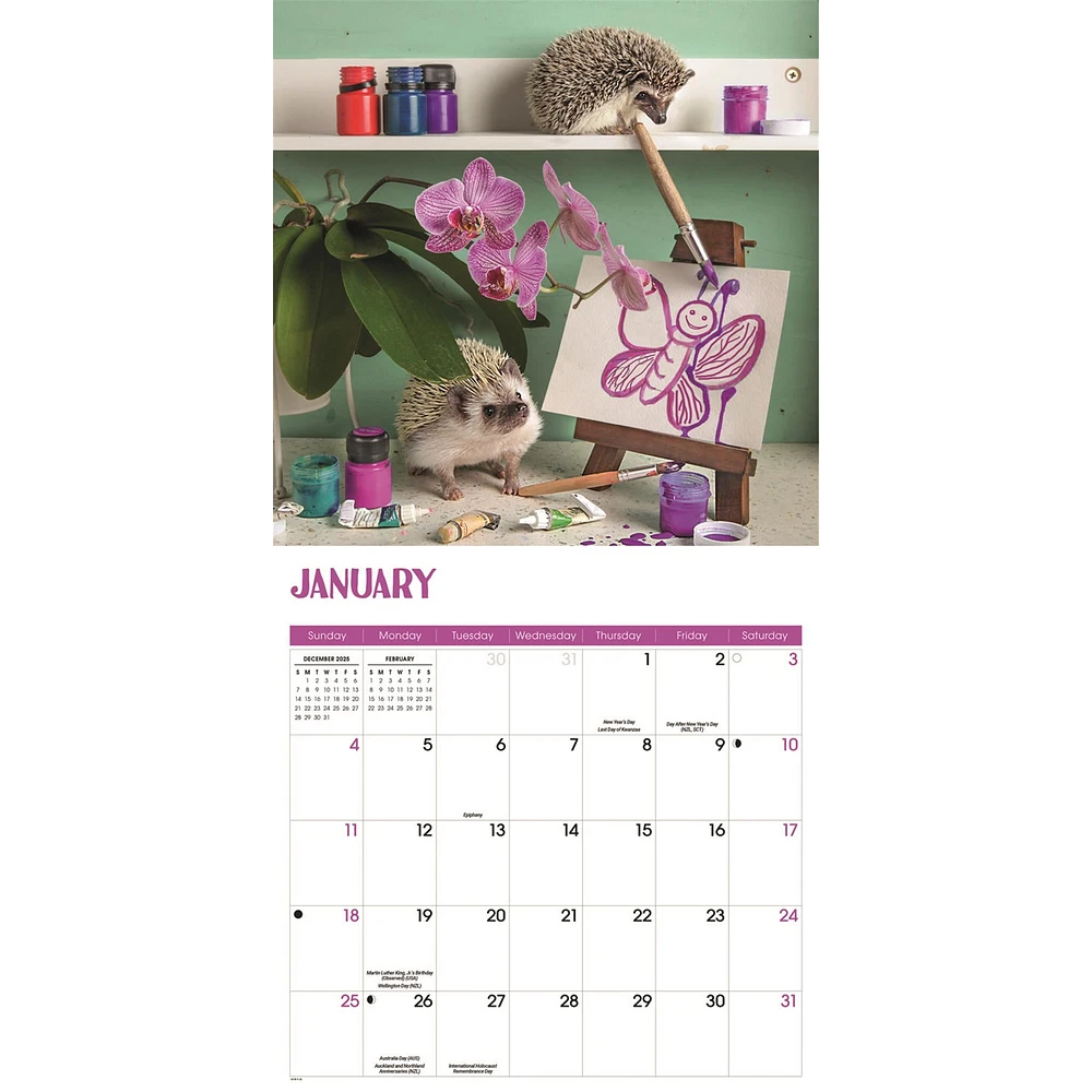 Hedgehogs 2026 Wall Calendar