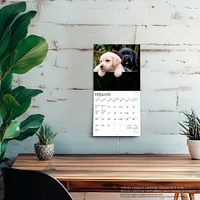 Lab Puppies 2026 Mini Calendar