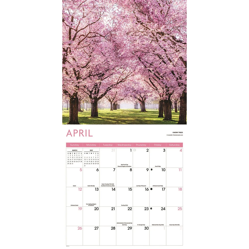 Trees 2026 Wall Calendar