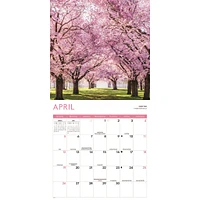 Trees 2026 Wall Calendar