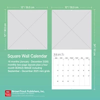 President Donald J Trump 2026 Wall Calendar - Online Exclusive