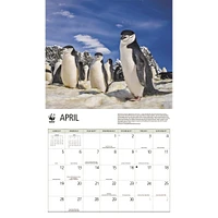 World Wildlife Fund Penguins 2026 Wall Calendar