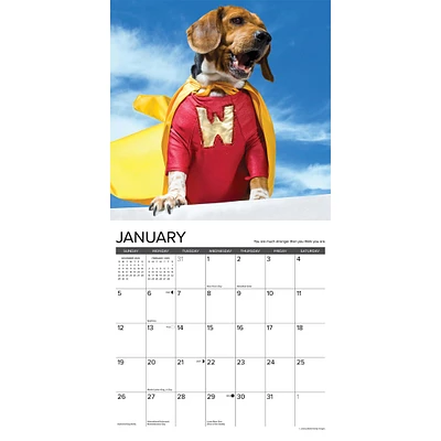 What Dogs Teach Us Wall 2025 Calendar