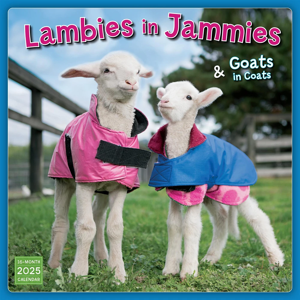 Lambies In Jammies And Goats In Coats Wall 2025 Calendar