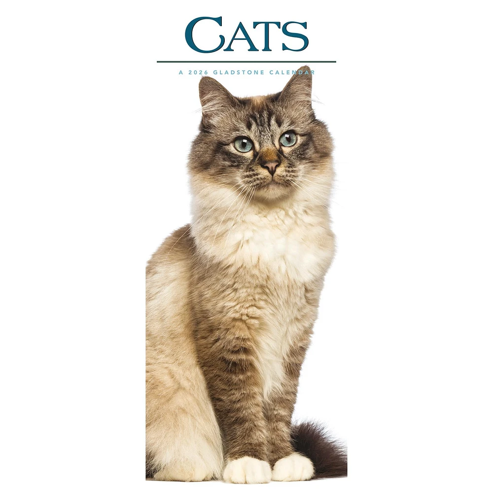 Cats 2026 Poster Calendar