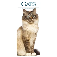 Cats 2026 Poster Calendar