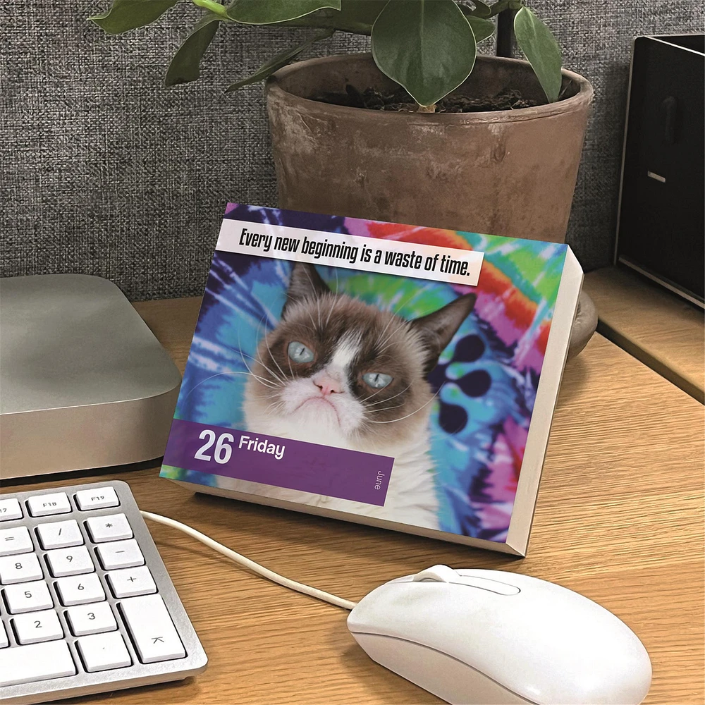 Grumpy Cat 2026 Box Calendar