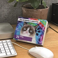 Grumpy Cat 2026 Box Calendar