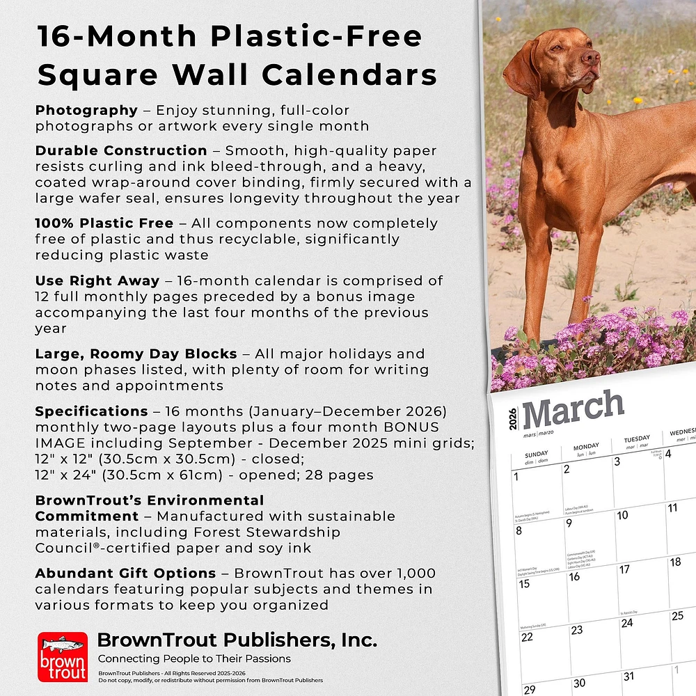 Vizslas 2026 Wall Calendar