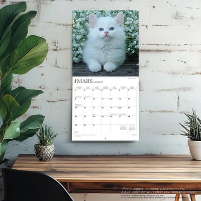 Chatons 2026 Wall Calendar (French)