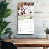 White Tigers 2026 Wall Calendar