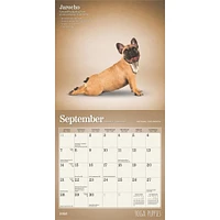 Yoga Puppies Mini 2025 Calendar