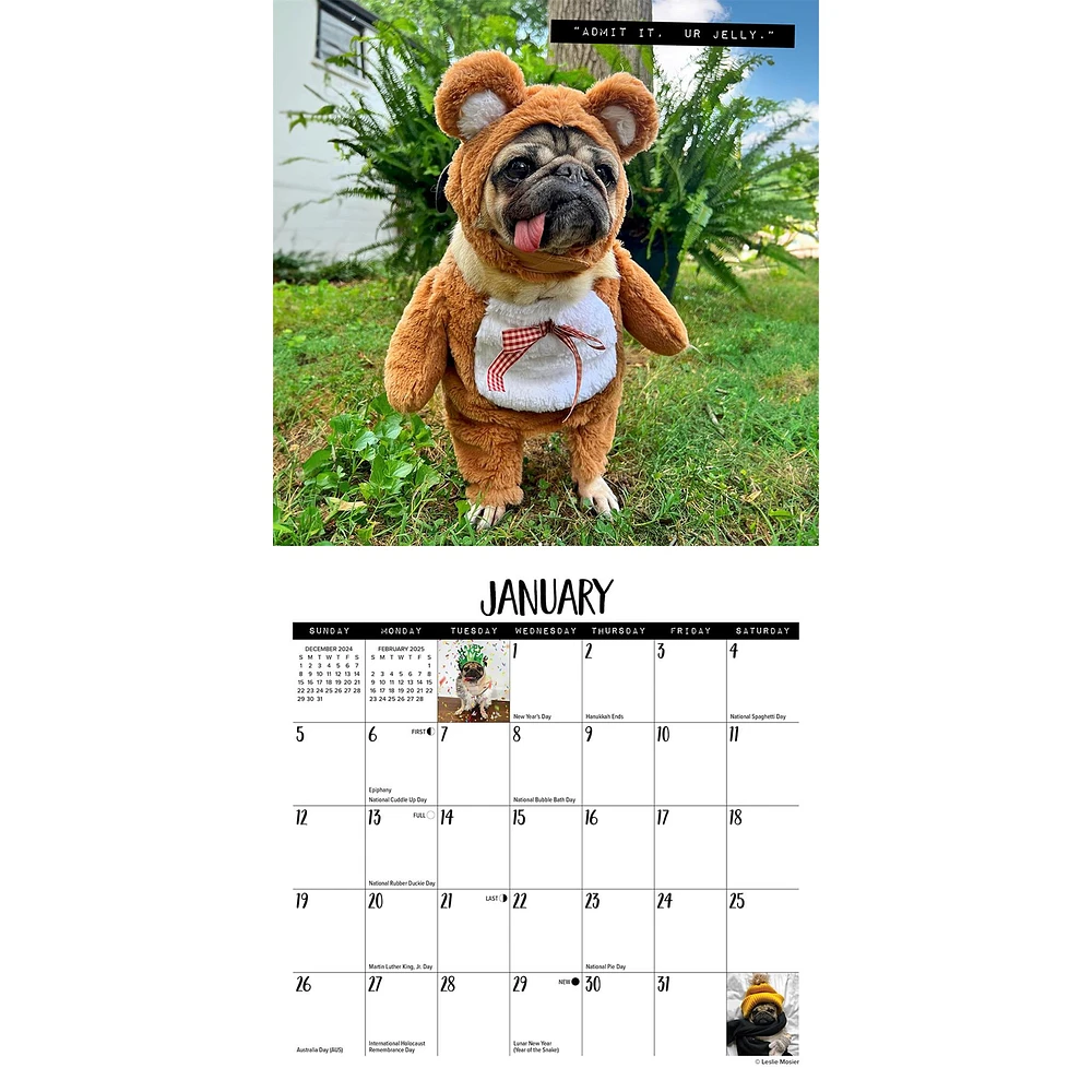 Doug The Pug Mini 2025 Calendar