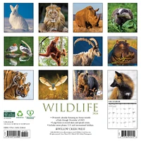 Wildlife 2026 Wall Calendar - Online Exclusive