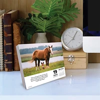 What Horses Teach Us 2026 Box Calendar
