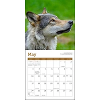 Wolves 2026 Mini Calendar