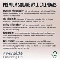 Bearded Collie Wall  2026 Calendar