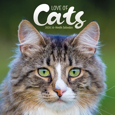 Love Of Cats 2026 Wall Calendar
