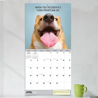 Desk Dogs 2026 Wall Calendar