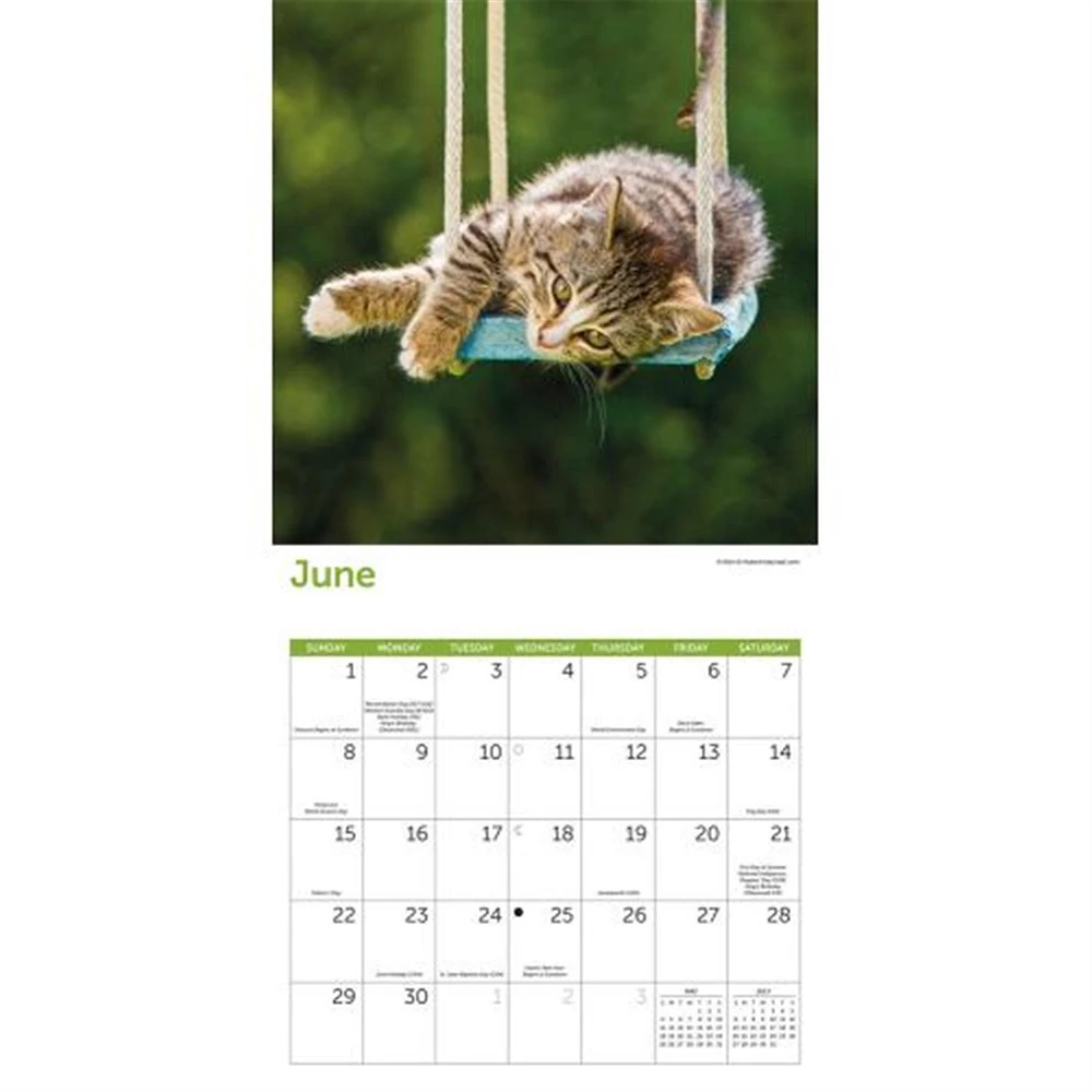 Cats Wall 2025 Calendar