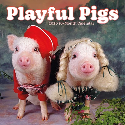 Pigs Playful 2026 Wall Calendar
